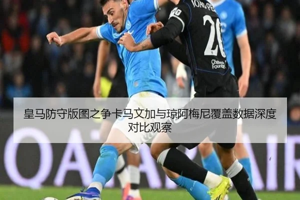 皇马防守版图之争卡马文加与琼阿梅尼覆盖数据深度对比观察